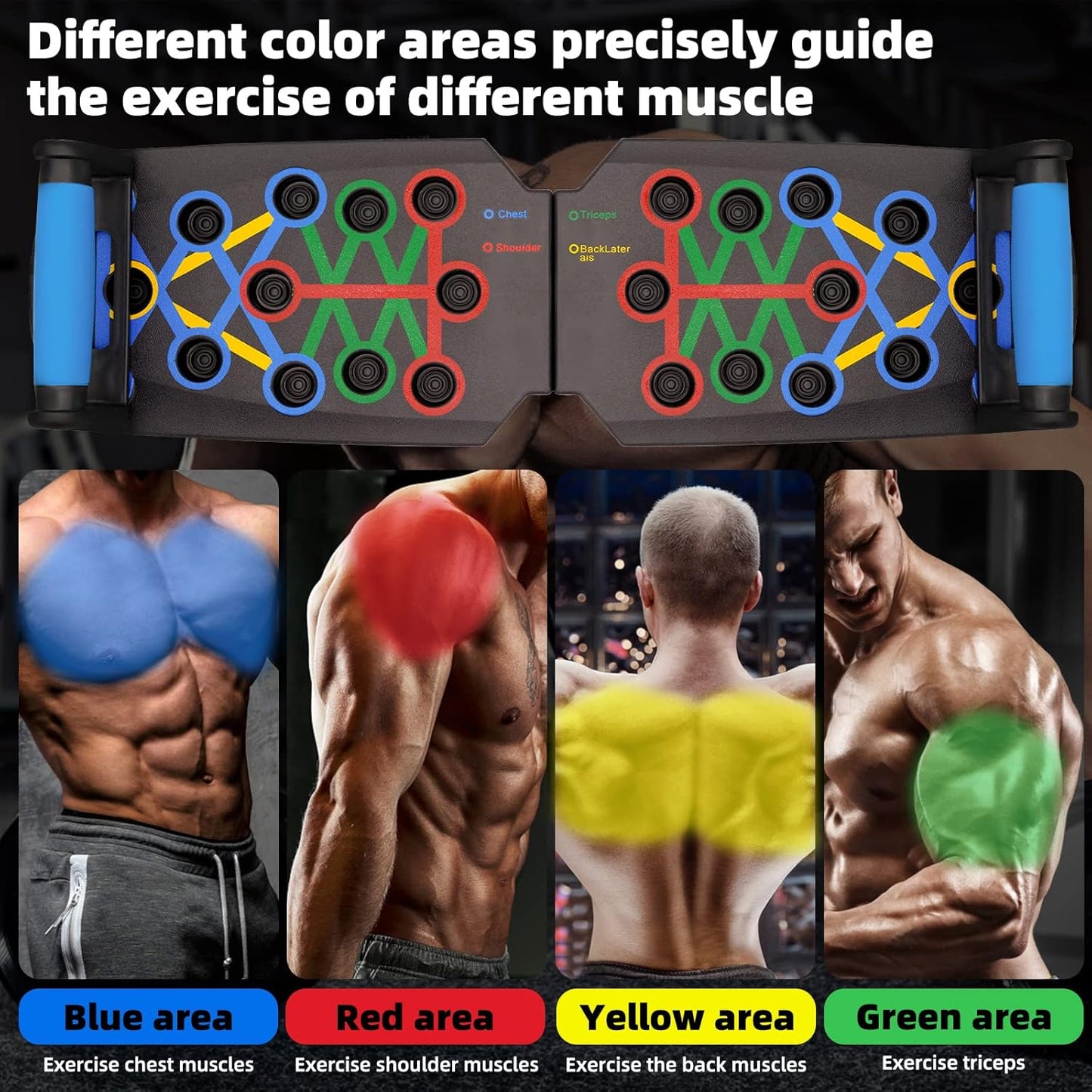 Gym Exercise Stands