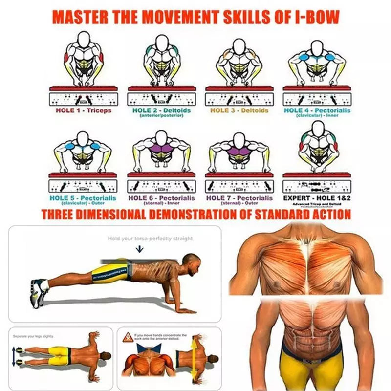 Gym Exercise Stands